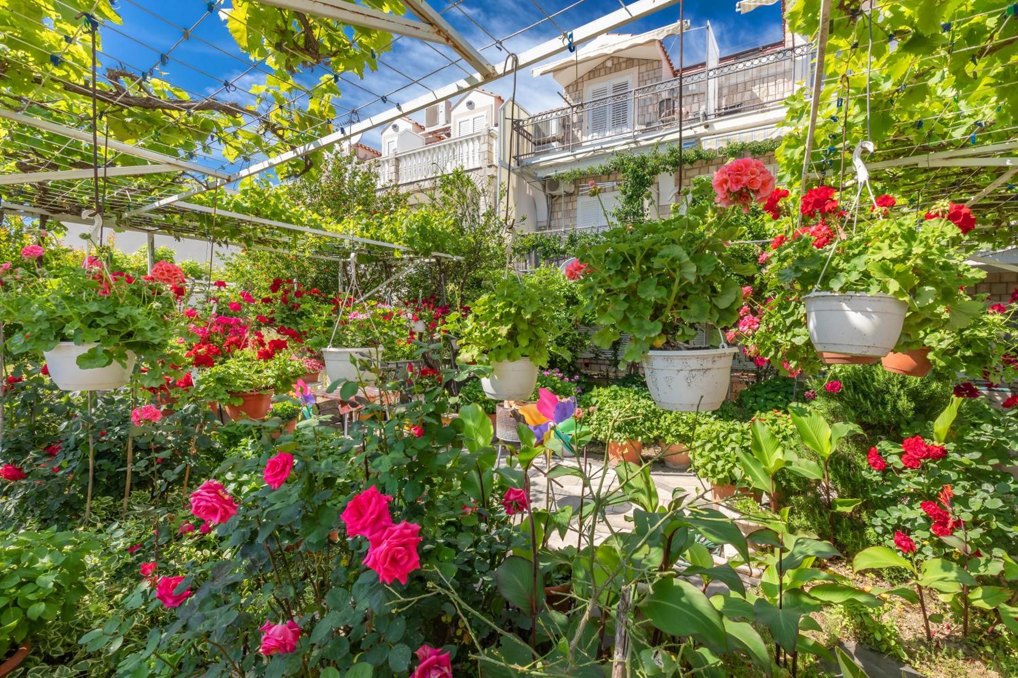 Apartmani Galic 2 Mlini Eksteriør billede